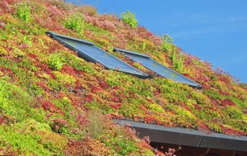 Western Heights living roof systems